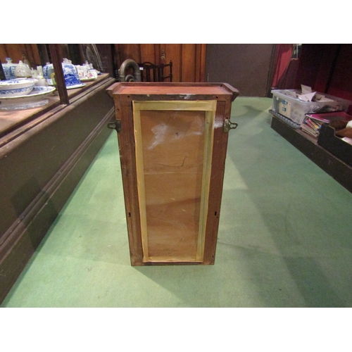 4292 - An Edwardian mahogany two door glazed wall mounting medicine cabinet with mirrored back and glass sh... 