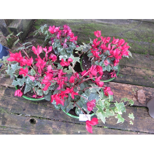 3063 - 4 Cyclamen bowls