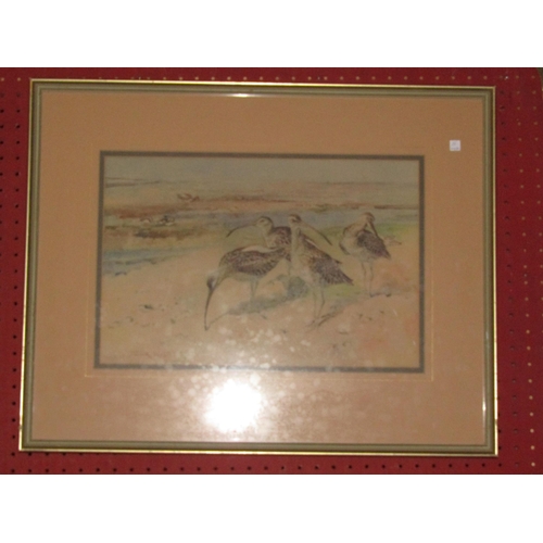 1052 - After Frank Southgate - Two framed and glazed German prints, 'Curlews' and 'Woodcock'. Signed in the... 