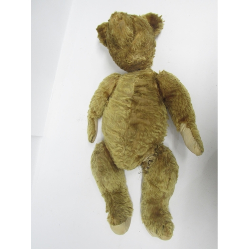 5047 - A careworn mid 20th Century golden mohair jointed teddy bear for restoration, 64cm tall. Together wi... 