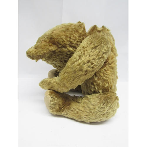 5047 - A careworn mid 20th Century golden mohair jointed teddy bear for restoration, 64cm tall. Together wi... 