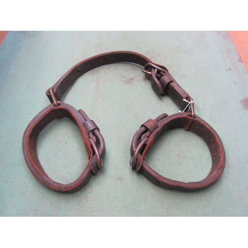 7095 - A leather double sheep/pony harness