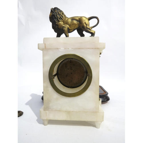 8034 - A continental white marble and gilt metal mantel clock surmounted by a cast metal lion all under a l... 