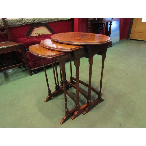 4011 - An Edwardian nest of three graduating burr walnut top occasional tables on ring turned legs and sled... 