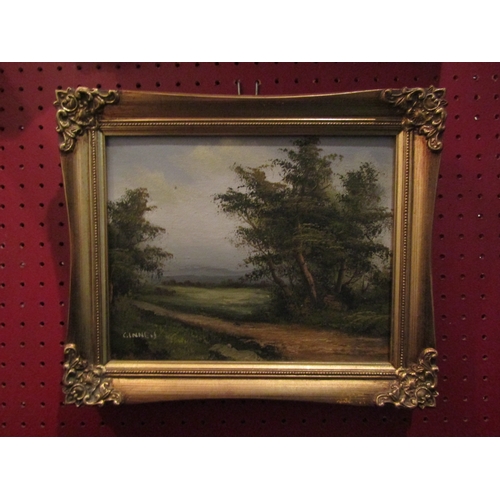 4048 - C.INNESS: An oil on canvas landscape of trees and path by the waterside. Signed lower left. Framed, ... 