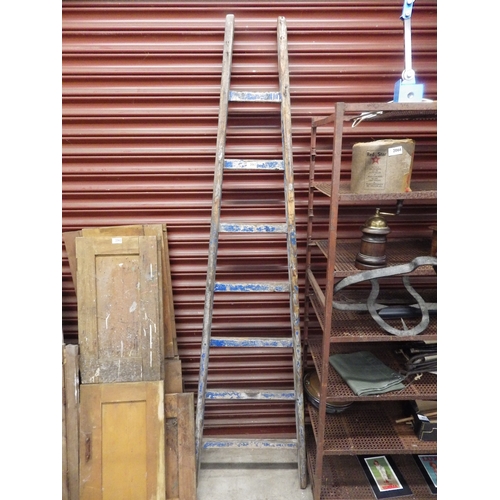 2063 - A French pine orchard ladder