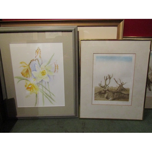 4062 - A collection of pictures and prints including Frances Wells, Frank Short, Ailsa Kennedy etc. Glazing... 