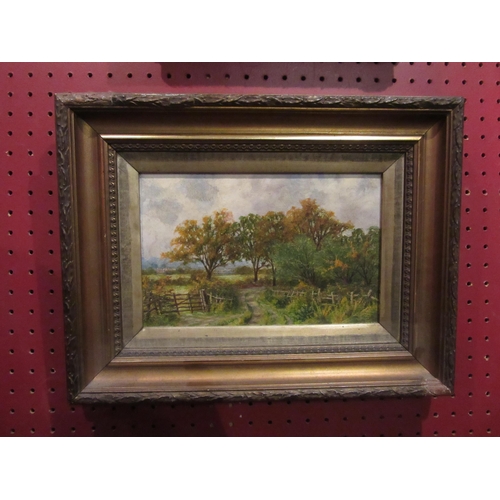 4029 - A pair of Edwardian gilt framed oil on boards of countryside scenes and a boat print (3)