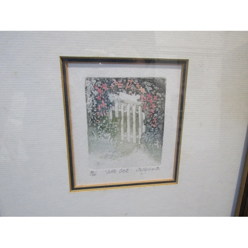 1042 - SALLY WINTER (XX/XXI): Two framed and glazed coloured etchings 