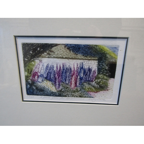 1042 - SALLY WINTER (XX/XXI): Two framed and glazed coloured etchings 