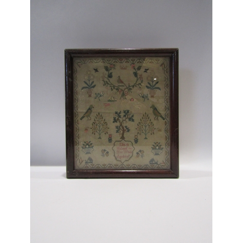 1142 - An early 19th Century needlework sampler by Elizabeth Holman aged 12, framed and glazed, 26cm x 22cm... 