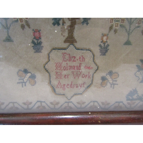 1142 - An early 19th Century needlework sampler by Elizabeth Holman aged 12, framed and glazed, 26cm x 22cm... 