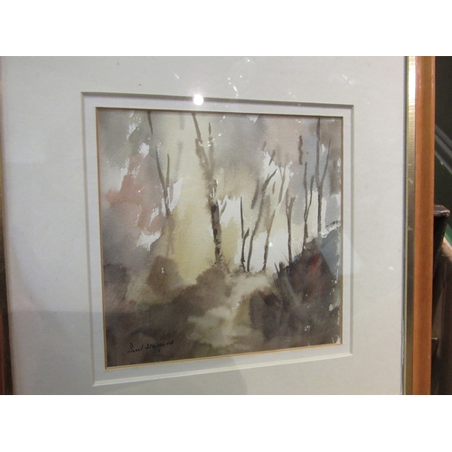 4219 - PAUL STAFFORD: Watercolour titled 'Light in the Trees', signed lower left, 17cm x 17cm image size, a... 