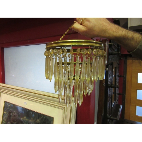 4018 - Two early 20th Century small glass bag shades (different sizes and designs), plus spare prisms