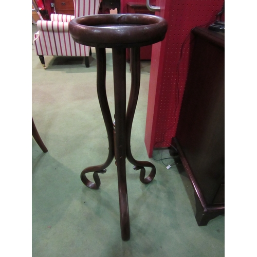 4104 - A bentwood plant stand made by 