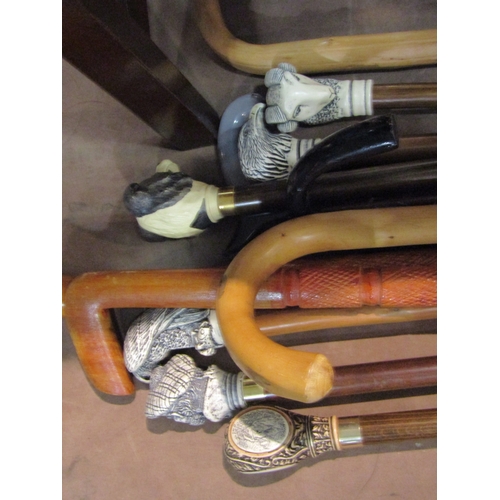 4195 - A collection of assorted walking sticks and canes including various animal head knops and a brass fi... 