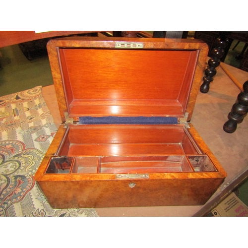 4200 - A Victorian burr walnut writing box, vacant interior, 44cm long, together with a decorative sarcopha... 