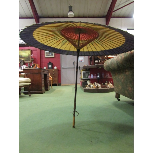 4203 - A vintage parasol with painted paper floral shade