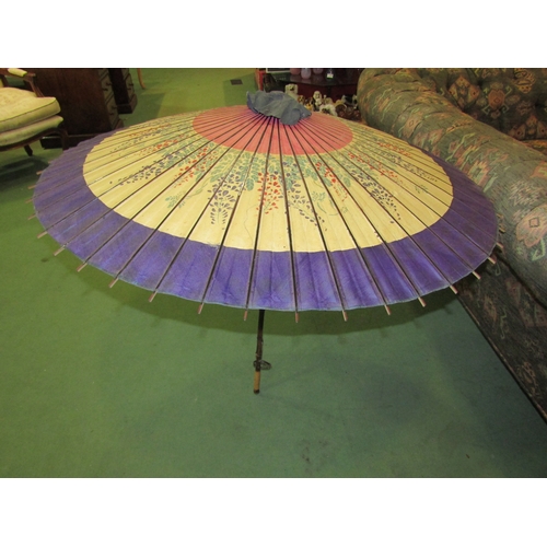 4203 - A vintage parasol with painted paper floral shade