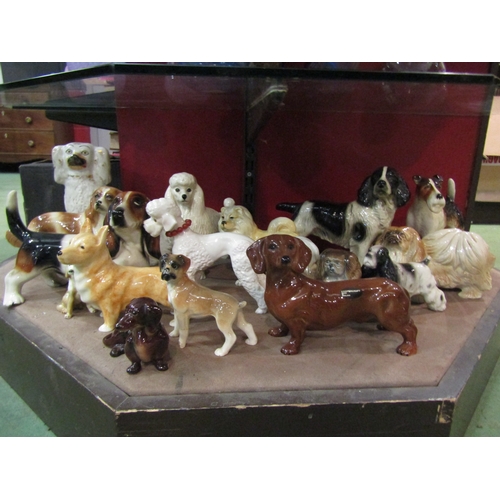 4225 - A collection of ceramic dogs, Staffordshire style, Poodles, Corgis, Basset Hound, Cooper Craft Dachs... 