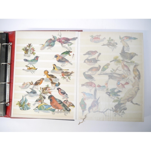 9061 - A good collection of Victorian scraps, including album containing loosely mounted flowers, birds, bu... 