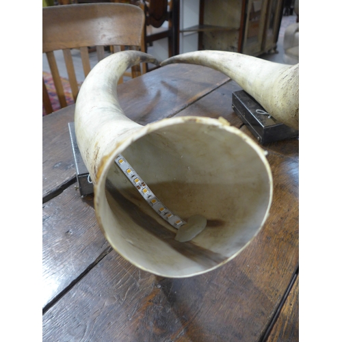 4036 - Two unused cow horn wall lights with LED lights to interior, approximately 70cm tall