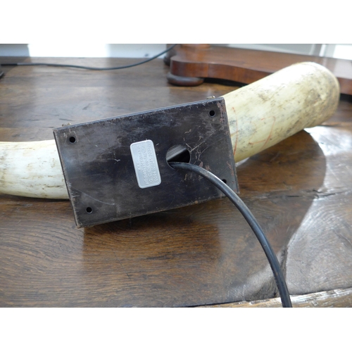 4036 - Two unused cow horn wall lights with LED lights to interior, approximately 70cm tall