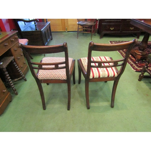 4088 - A pair of Regency mahogany chairs with carved and spiral decoration on square fore legs