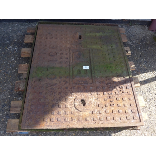 Lot 8010      