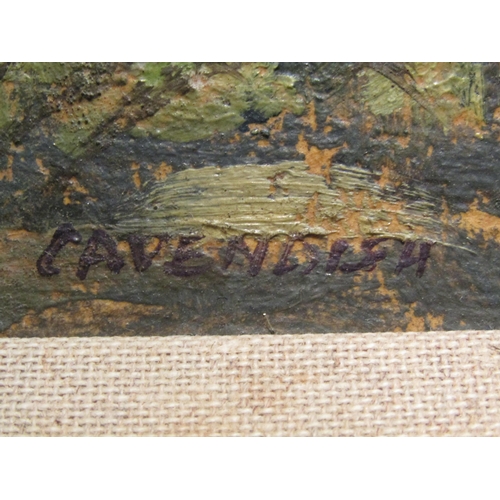 4053 - An oil on board of trees in a garden scene, signed 'Cavendish' bottom left, gilt framed, 29cm x 39cm... 