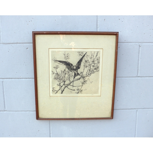 Lot 6047      