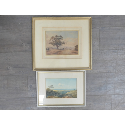 Lot 6051      