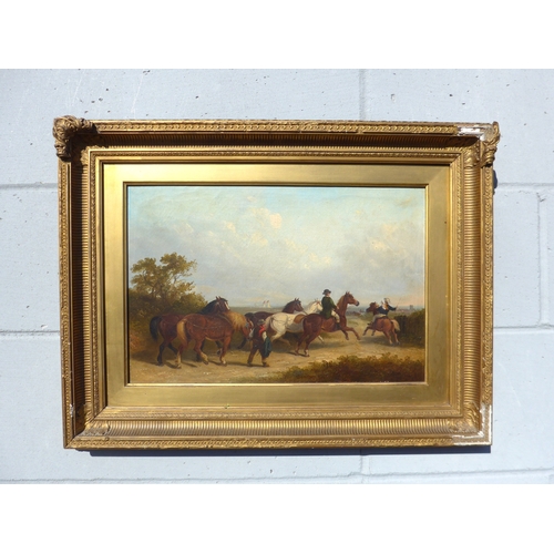 Lot 6009      