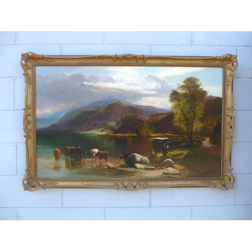 Lot 6005      