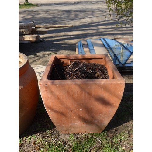 Lot 9049      