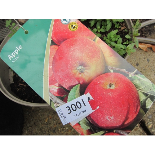 Lot 3001      