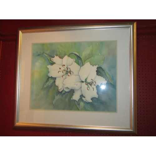 Lot 4040      