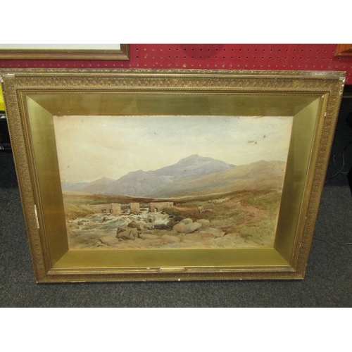 Lot 1057      
