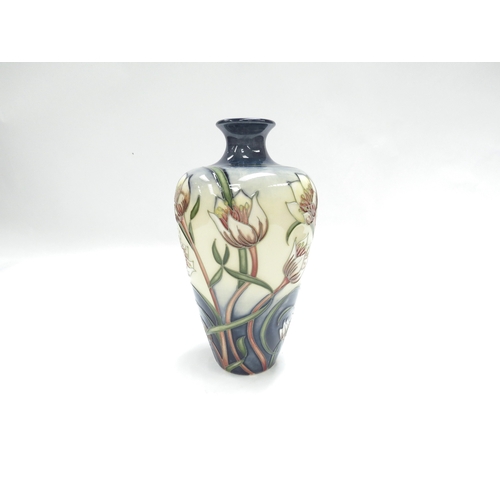 Lot 7330      