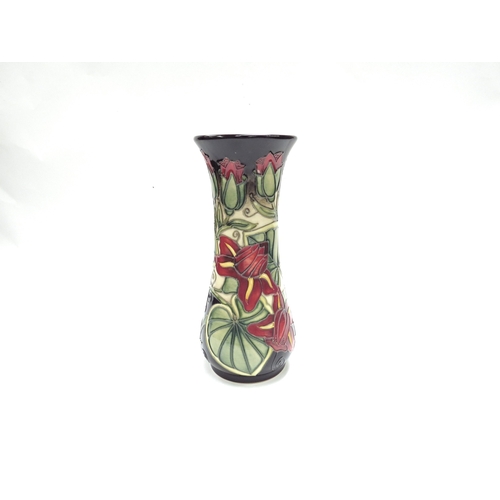 Lot 7331      