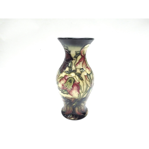 Lot 7333      