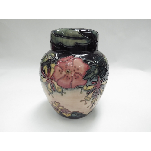 Lot 7341      
