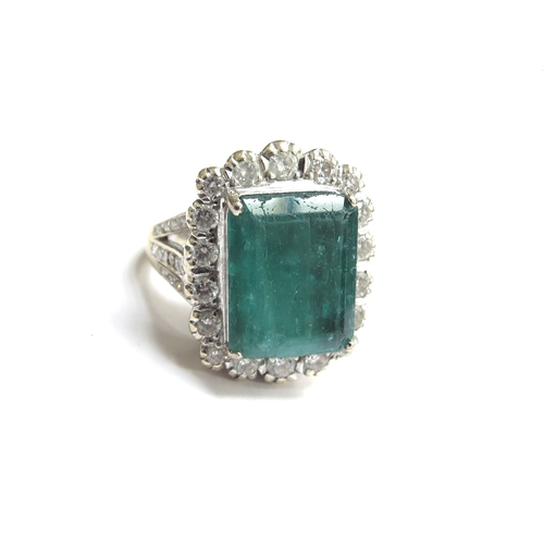 Lot 6025      