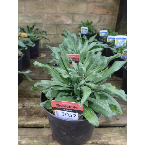 Lot 3057      