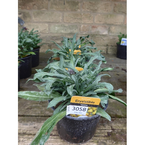 Lot 3058      