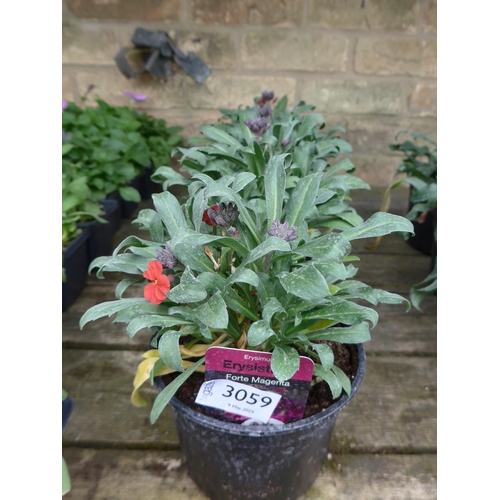 Lot 3059      