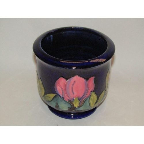 Lot 4210      