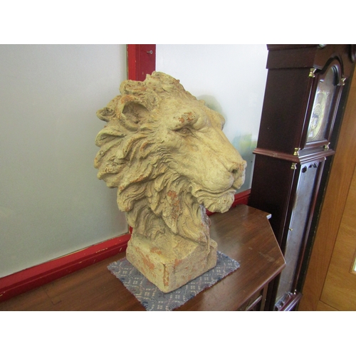 4016 - A reproduction terracotta effect Lion bust, 50cm tall