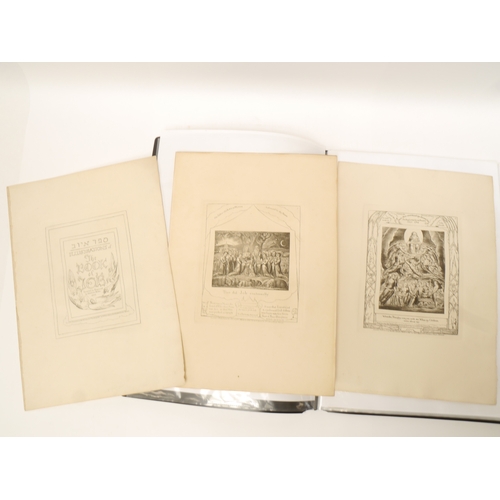Lot 8042      