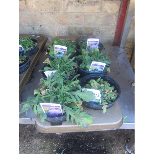 Lot 3015      